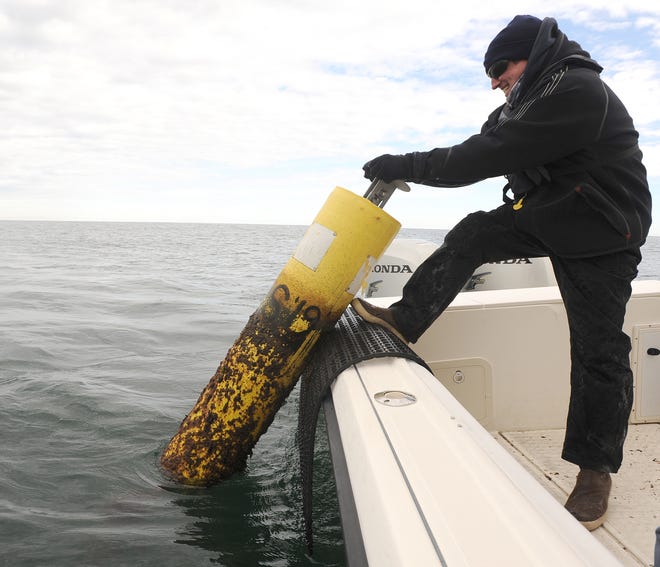 Massachusetts Division of Marine Fisheries shark scientist Gregory Skomal pulls a shark-detecting buoy out of the waters off the Outer Cape. Woods Hole Sea Grant funding will be used to analyze buoy data collected around the Cape to try to predict where sharks might be on any given day. [Merrily Cassidy/Cape Cod Times file]