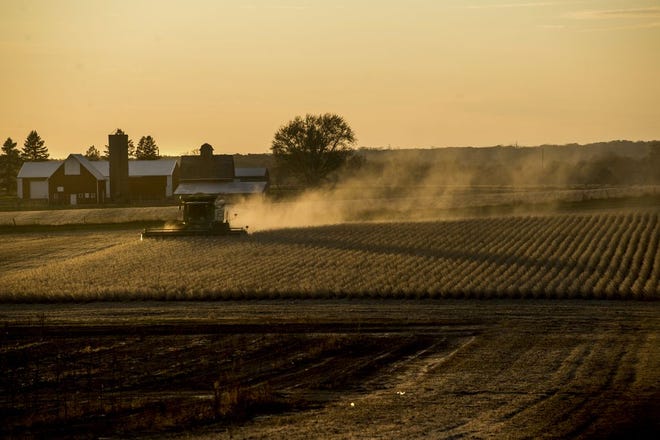 A combine leaves a trail of dust highlighted by the setting sun Friday, November 9, 2019 as a farmer harvests soybeans north of Peoria. [DAVID ZALAZNIK/JOURNAL STAR]