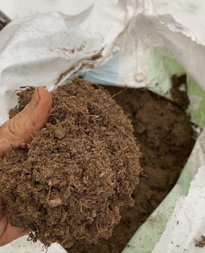 Although peat moss is a useful soil amendment, such as in potting mixes, it is not indispensible. [Lee Reich via AP]