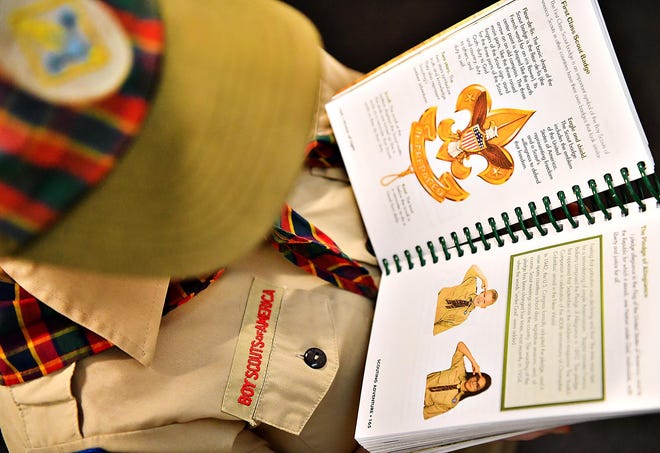 A landmark law passed in the wake of the Penn State child sexual abuse scandal required background checks of anyone working with children, including volunteers such as Boy Scout leaders. But it isn't working as intended. [PHOTO ILLUSTRATION BY DAWN SAGERT / THE YORK DISPATCH]