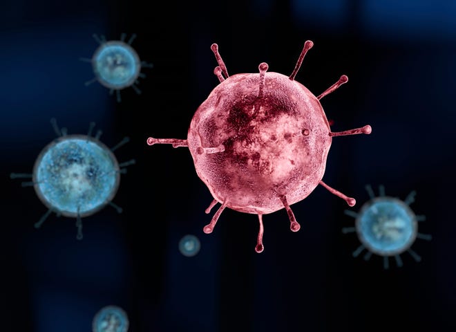 The flu virus is linked to 27 deaths in Arkansas so far this winter, according to the Arkansas Department of Health. [Shutterstock]