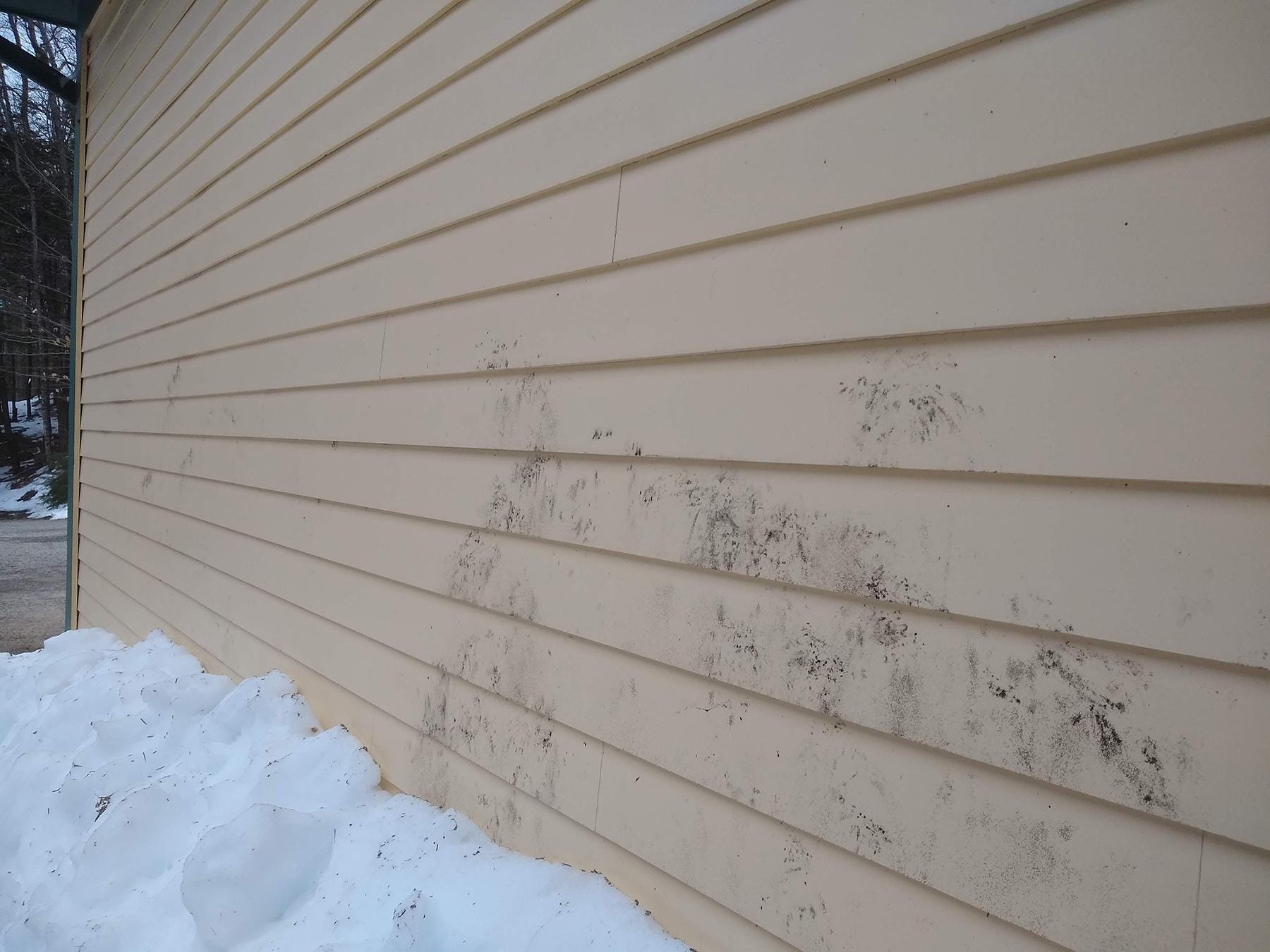 siding cleaning