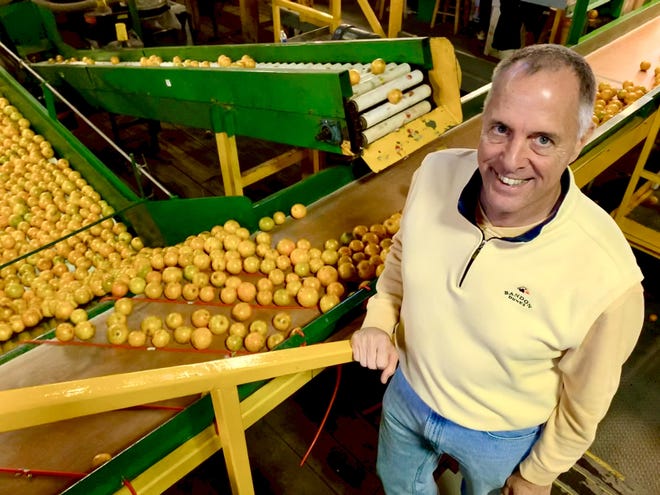Quentin Roe, CEO of William G. Roe & Sons, is the third generation to run his family’s citrus business. He says greening has “ripped the heart out of this industry. [THOMAS R. OLDT]