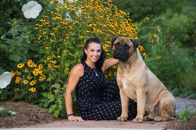 In this undated photo provided by Cassandra Carpenter, handler Cassandra Carpenter poses with Titus, a bullmastiff. Cassandra says Titus was bitten by a snake on his back left leg in March 2019 in North Carolina. Titus went through extensive treatment and recovery and still has a scar from the episode. (Amber Jade via AP)