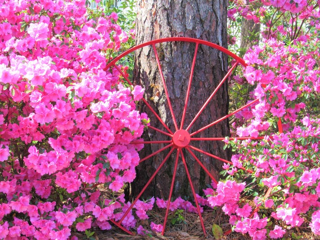 The 67th annual Azalea Garden Tour will be held April 3-5 at various locations. [CONTRIBUTED PHOTO]