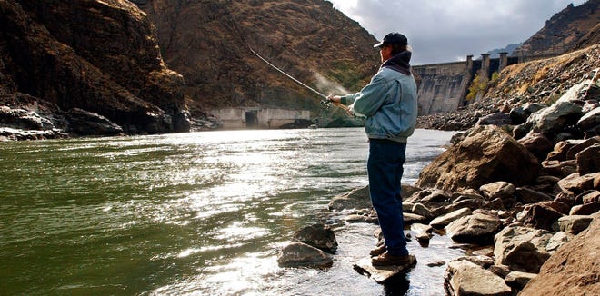 In this Nov. 16, 2003, photo, fisherman Larry McBrom works along the Snake River shoreline below Hells Canyon Dam in southwestern Idaho. [(Darin Oswald/The Idaho Statesman via AP, file]