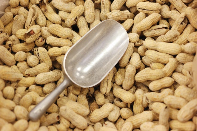 Peanut allergies are getting more common.