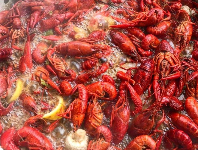 The Austin Crawfish Festival returns on April 4 to Carson Creek Ranch. [Contributed]