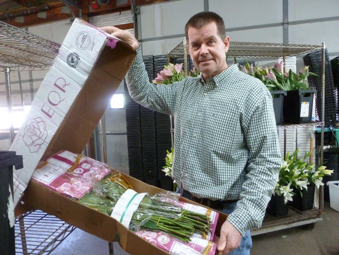 Scott Kremp, president of Kremp Florist in Willow Grove, helps unpack boxed flowers that the business is preparing for the Philadelphia Flower Show that starts Feb. 29 at the Pennsylvania Convention Center. [PEG QUANN / STAFF PHOTOJOURNALIST]
