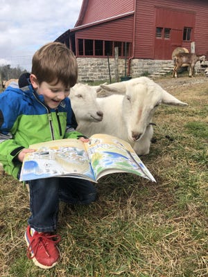 Kindergartner Rohen Farr reads “The Huckabuck Family” to goats at Connemara Farms. [PROVIDED PHOTO]
