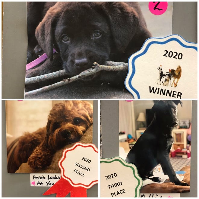 2020 Pet Photo Contest at the Manchester Public Library. [Courtesy Photo]