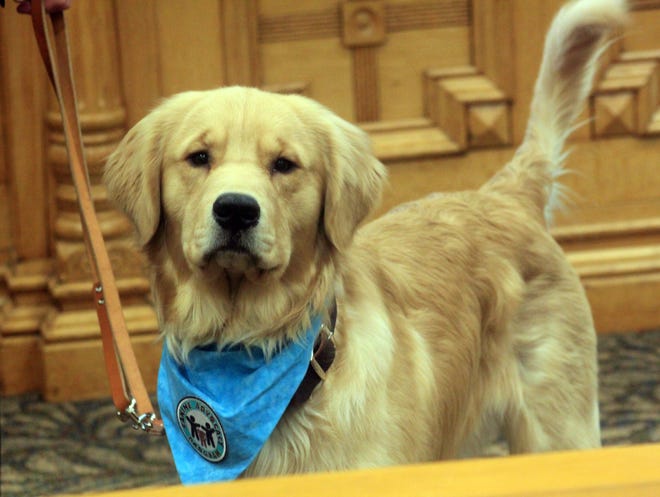 Naudus, the new Ionia County Canine Advocate, poses for a photo on Thursday, Feb. 27, in the Ionia County Circuit Courtroom. [Evan Sasiela/Sentinel Staff]