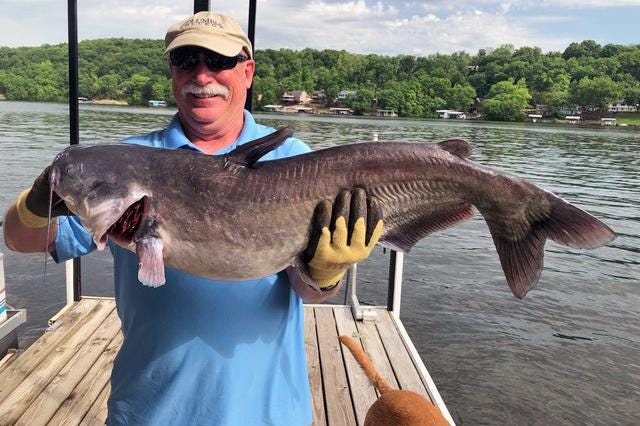 Bob Burchard, former Columbia College men’s basketball coach and athletic director, holds up his prized catch after a good day of fishing. Burchard and his wife, Faye, now reside in Lake of the Ozarks. [Submitted]