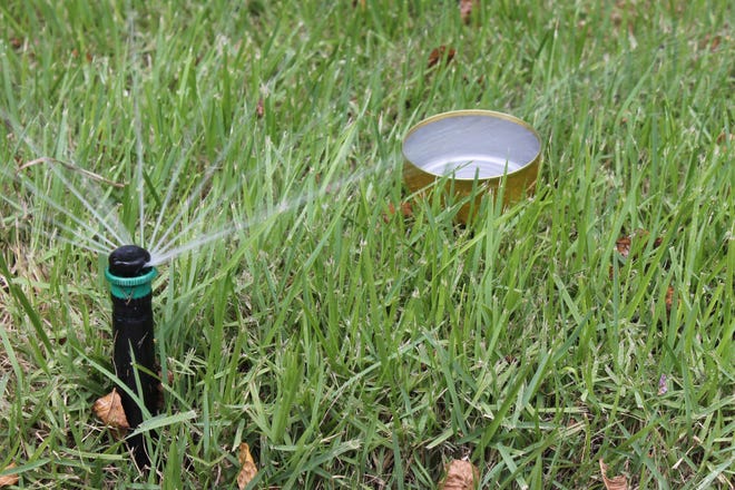 Calibrate irrigation systems by performing the catch can test. It’s easy and tells you how much water your irrigation system applies. [Submitted photo]