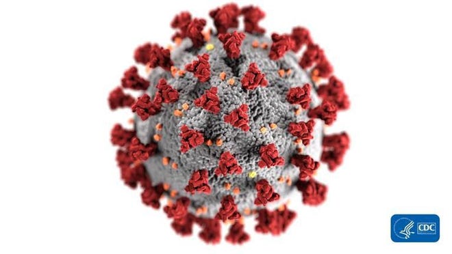 The coronavirus is seen an illustration made by the Centers for Disease Control and Prevention [CDC]