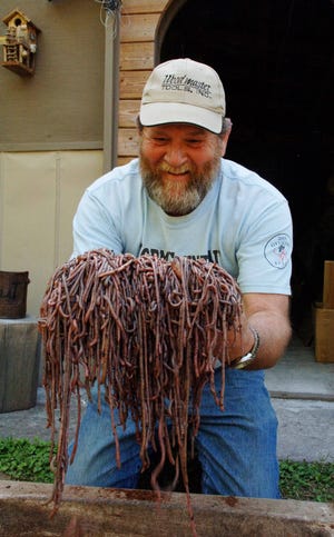 Gary Revell with his harvest of Diplocardia mississippiensis, 2008. [Kenneth Catania, Vanderbilt University, National Science Foundation]