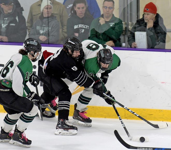 WORCESTER - Wachusett vs. Longmeadow, in a MA State D3 semifinal, played at Holy Cross College, March 7, 2020. [T&G Staff/Steve Lanava]