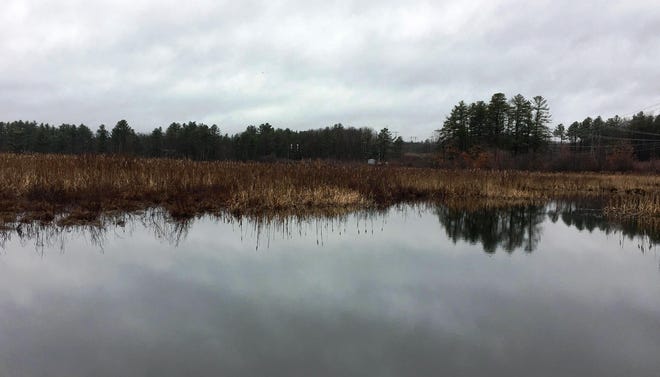 Water officials have reported levels of per- and polyfluoroalkyl substances -- commonly known as PFAS -- at about 25 part per trillion at wells at Spectacle Pond. A virtual forum, set for March 28, 10 a.m., will include a plan for addressing PFAS concerns. [Wicked Local Staff Photo/Margaret Smith]