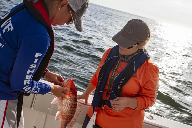 With a new amendment, dubbed Amendment 33, approved in December by NOAA, the recreational red snapper fishing season might be three days long. [Halle Parker/Staff Writer -- houmatoday/dailycomet]