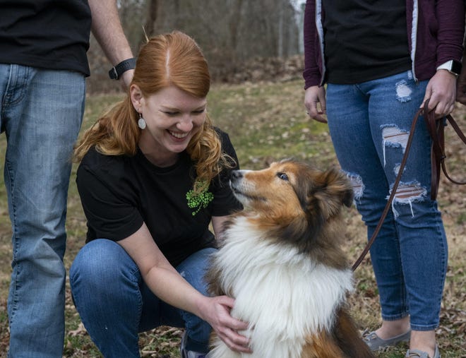 Niki Hosking, a Canal Fulton resident, and her family are using their love of dogs to create a new nonprofit dog rescue shelter. Jessie the collie is their first foster dog. (CantonRep.com / Aaron Self)