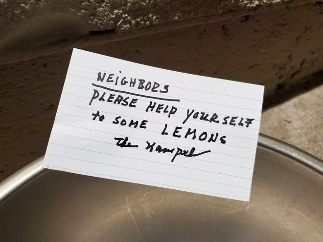 Close-up of a handwritten note placed on a bowl of lemons in a communal area of a neighborhood in San Ramon, California, with text reading "Neighbors please help yourself to some lemons", a response to food shortages during an outbreak of COVID-19 coronavirus, March 13, 2020. (Photo by Smith Collection/Gado/Sipa USA)(Sipa via AP Images)