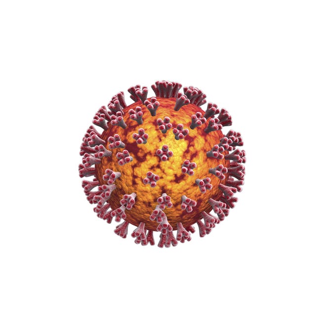 This 3D illustration shows the new coronavirus. Confirmed cases of COVID-19 in San Bernardino County rose by 14, to a total of 31, on Tuesday, March 24, 2020. [STOCKTREK IMAGES VIA AP]
