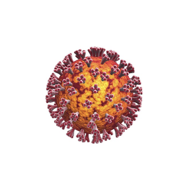 This 3D illustration shows the new coronavirus. [STOCKTREK IMAGES VIA AP]