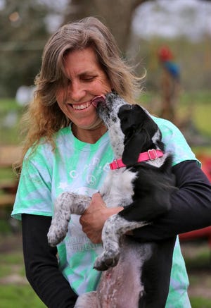 Tammy Freeman gets kisses from a puppy at her home on Thursday. Freeman fosters puppies through Clifford’s Army Rescue Extravaganza. [Brittany Randolph/The Star]