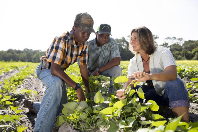 The Singleton farm family working with Extension agent Wendy Mussoline in a sweet potato crop in Putnam County on in 2018. [Photo by Tyler Jones]