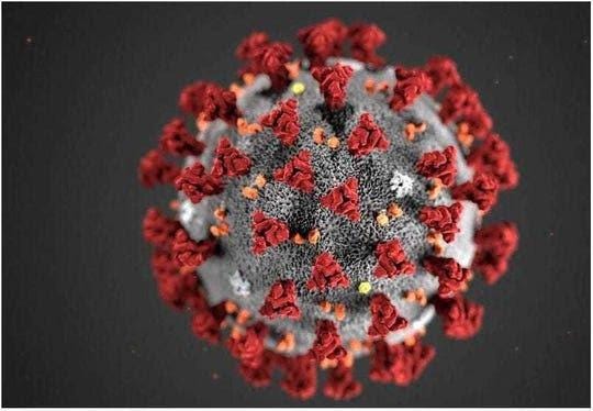 This illustration reveals ultrastructural morphology exhibited by the novel coronavirus, COVID-19. (Photo: U.S. Centers for Disease Control and Prevention)
