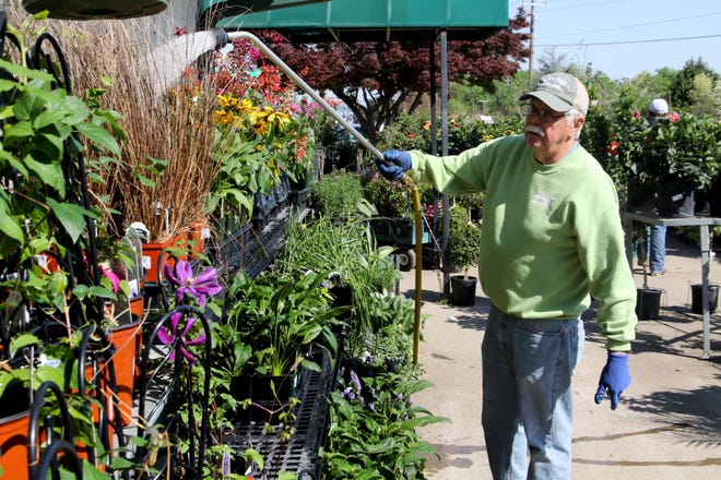 Charles Wingfield waters the flowers, grasses and vines for sale at Sharum's Garden Center, 10000 U.S. 71 S., Saturday, April 11, 2020. Sharum's Garden Center sits on 9-plus acres and has close to 80,000 square feet of greenhouse space, making Sharum's Garden Center the largest in the state of Arkansas, according to the business. [JAMIE MITCHELL/TIMES RECORD]