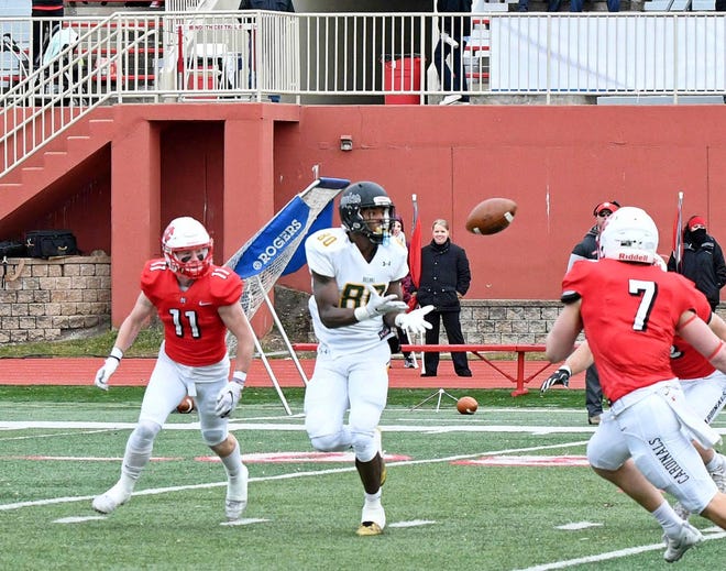 Delaware Valley University senior Dan Allen makes one of his six catches in a 2019 NCAA Division III quarterfinal game against North Central. [DELVAL ATHLETICS]
