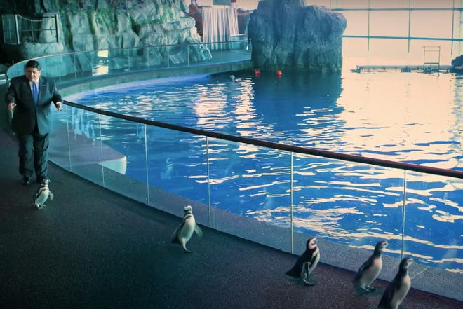 Gov. JB Pritzker joins the Shedd Aquarium penguins for a video highlighting the importance of social distancing and staying home as ways to stay safe and help flatten the curve of COVID-19.