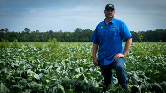 Chris Barnes is a fifth-generation farmer who operates Hastings-based Barnes Farms with partners Jim and Dale Barnes as well as cousins Dale Lester Barnes Jr. and Dixie Lynn Mericle. [WILL BROWN/THE RECORD]
