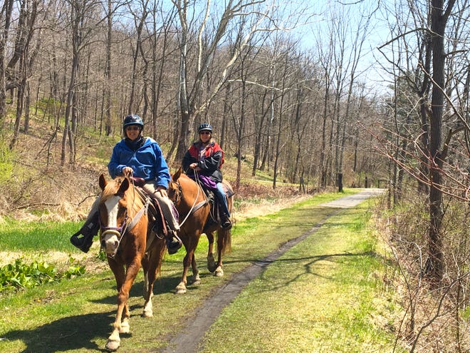 We met Frostie and Lollie, two horses from Horseheads, on the Keuka Outlet Trail on Saturday. [JULIE SHERWOOD/MESSENGER POST MEDIA]