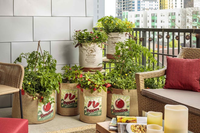 Even a small balcony can accommodate a diverse array of veggies in containers. [Proven Winners]