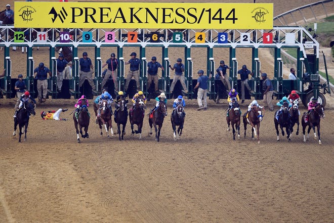 In this May 18, 2019, file photo, jockey John Velazquez tumbles to the track after falling off Bodexpress (9) as the field breaks from the starting gate in the 144th Preakness Stakes horse race at Pimlico race course in Baltimore. War of Will, far right, ridden by Tyler Gaffalione won the race. A person with knowledge of negotiations tells The Associated Press the Maryland Jockey Club and NBC Sports have set aside three possible dates for the running of the next Preakness. (AP Photo/Nick Wass, File)