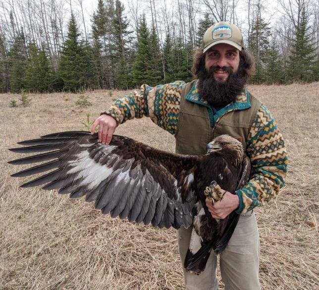Nick Alioto, contractor of Mackinaw Straits Raptor Watch, demonstrates the wingspan of Golden Eagles after he was able to catch and band the bird. Photo by Ed Pike