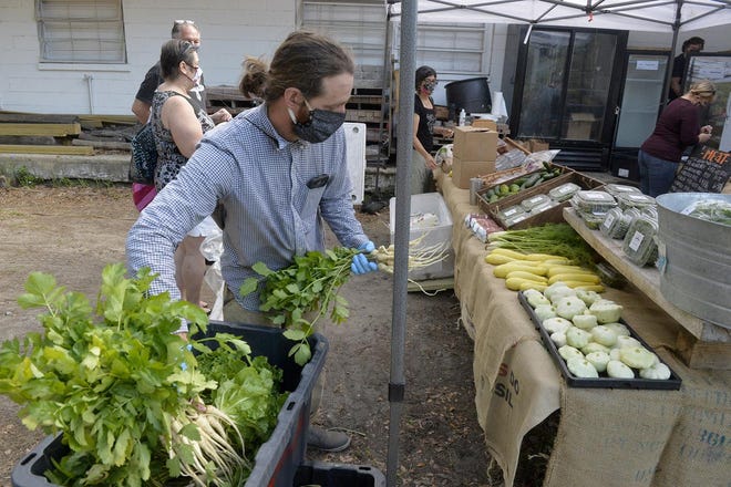 Chris Molander of Savannah’s Vertu Farm stocks the shelves with vegetables at the pop-up farm stand. [Steve Bisson/savannahnow.com]