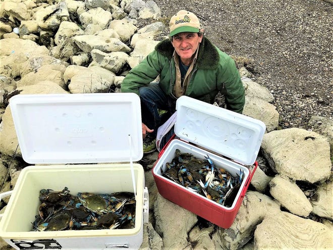 A morning's catch of crabs on the side of the road in Delacroix. Photo by Lyle Johnson
