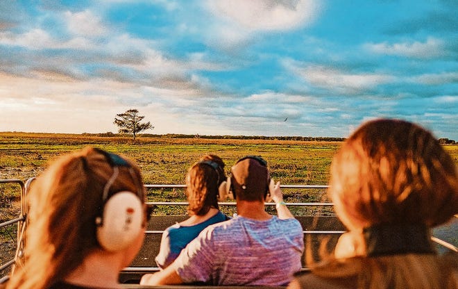Get a unique viewpoint of Central Florida wildlife on an airboat ride in Kissimmee’s waterways. [EXPERIENCE KISSIMMEE]