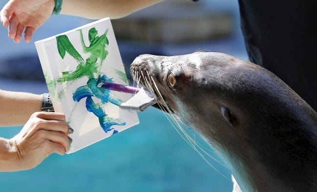 Jen Gaddy and Sierra Chappell hold the canvas as Piper, a California sea lion, applies paint using a brush she holds in her mouth to a create a painting Aug. 28, 2017, at the Oklahoma City Zoo. Many zoo animals created paintings as part of their enrichment activities, and the zoo sells the paintings through its annual "Art Gone Wild" exhibit. [The Oklahoman Archives]