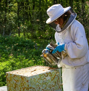 Tiverton resident Susan Medyn uses a bee smoker to calm honeybees before inspecting a hive. [Meredith Brower Photography]