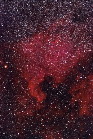 The famed North American Nebula (NGC 7000) in Cygnus, somewhat resembles the continent. At right is the Pelican nebula. [Photo by Oliver Stein (Own work) [CC BY-SA 3 (https://creativecommons.org/licenses/by-sa/3)], via Wikimedia Commons]
