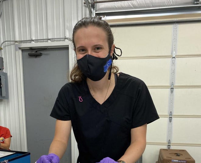 Daria Hagan, third-year veterinary student at the Kansas State University College of Veterinary Medicine, is the lead author of a recently published case report about an unusual hernia surgery on a parakeet. [COURTESY]