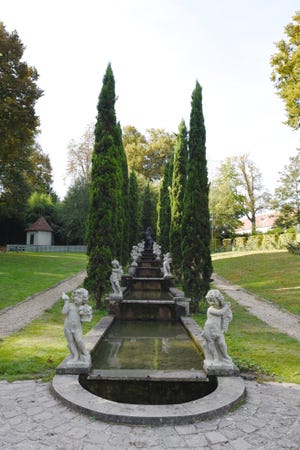 Italian cypress has a wonderful linear shape that adds drama to any garden. [Betty Montgomery]
