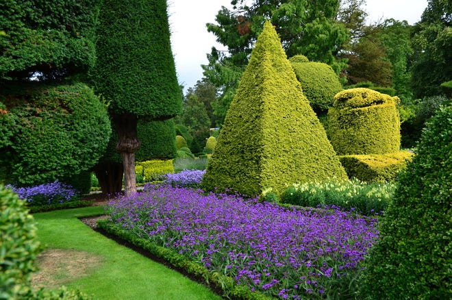Levens Hall Garden replaced the dwarf boxwoods with dwarf hollies. [Betty Montgomery]