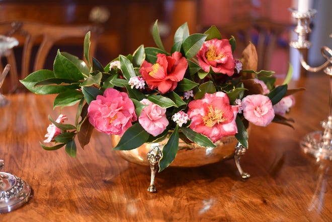 A collection of camellias with Daphne and magnolia leaves. [Betty Montgomery]