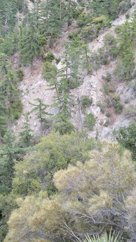California first responders rescued a man who drove off a 400-foot cliff after they received an alert sent by his phone.