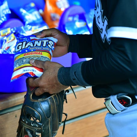 White Sox shortstop Elvis Andrus grabs some sunflower seeds in the dugout during a game in June.
